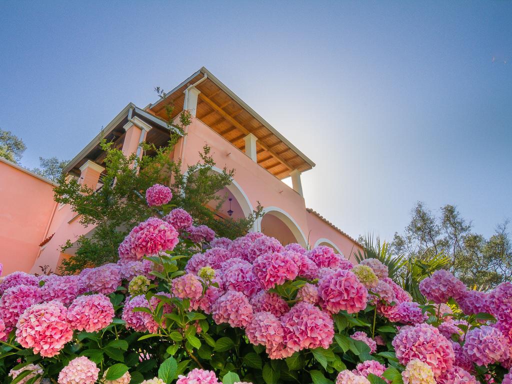 Evergreen Apartments Агиос Гордиос Стая снимка